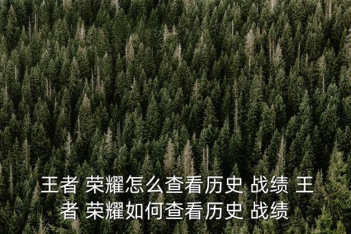 王者榮耀查戰績,如何在王者camp戰績查看?