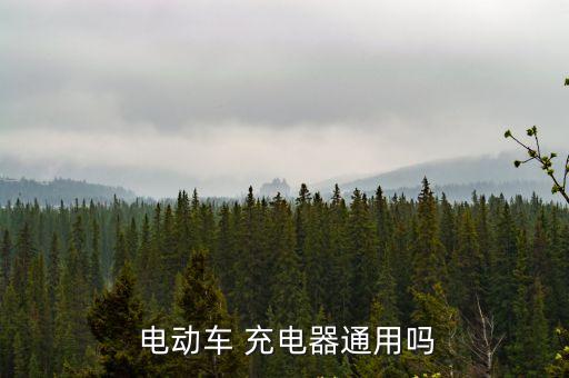  電動車 充電器通用嗎