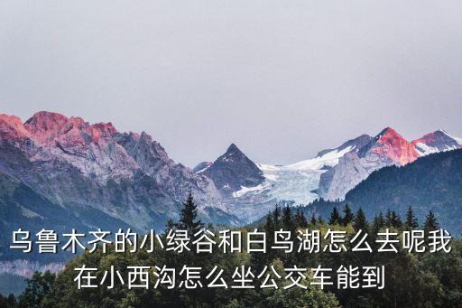 白鳥湖新區，烏魯木齊市政府要搬到哪里去白鳥湖新區未來發展如何