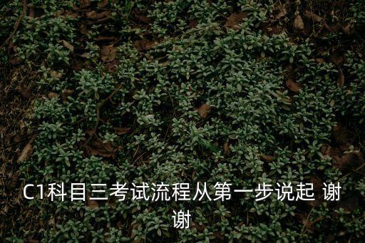 上海市榮安c1科目三教程，C1科目三考試流程從第一步說起 謝謝