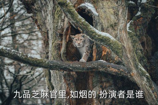九品芝麻官里,如煙的 扮演者是誰