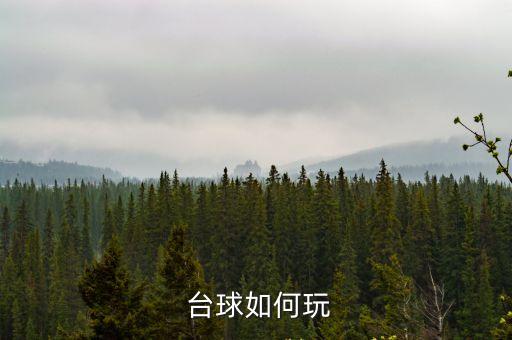 臺球玩法,我國男子網球選手包辦四局不敵泰國奪銀