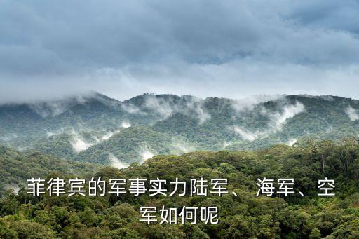  菲律賓的軍事實力陸軍、 海軍、空軍如何呢