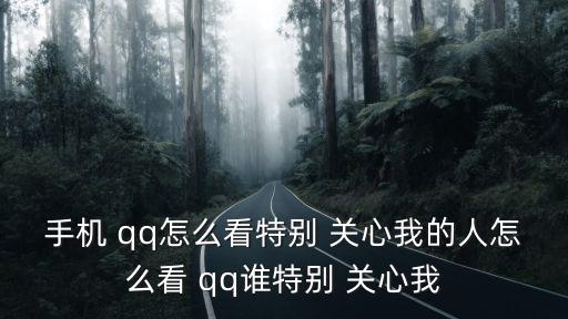 qq特別關(guān)心怎么看關(guān)心我的人,關(guān)心你的朋友!