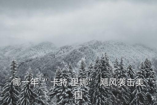 哪一年“ 卡特 里娜” 颶風(fēng)襲擊美國(guó)