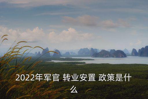 2022年軍官 轉業安置 政策是什么