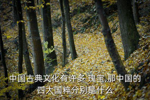 中國瑰寶,藝術瑰寶指藝術造詣深厚對社會影響較大的稀世珍品