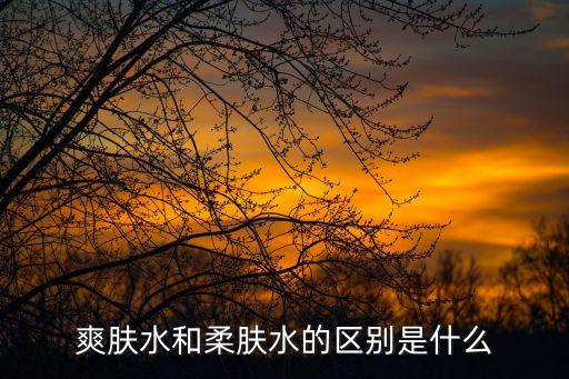 柔膚水跟爽膚水的區別，柔膚水和爽膚水的區別是什么