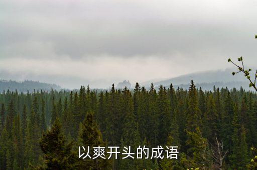 以爽開(kāi)頭的成語(yǔ)