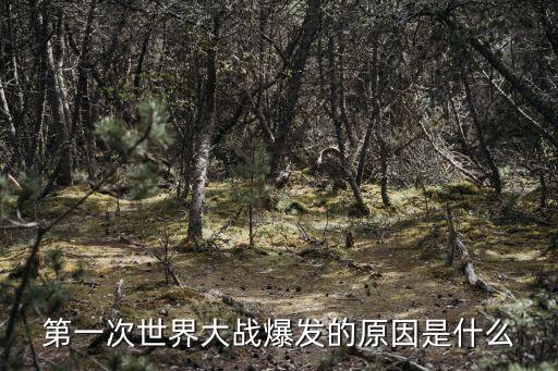 一戰(zhàn)的原因,一戰(zhàn)爆發(fā)于塞爾維亞反對(duì)帝國(guó)主義侵略斗爭(zhēng)