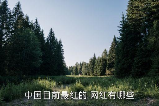中國網紅排行榜,2017網紅分析:邊緣行業(yè)網紅代表著什么?