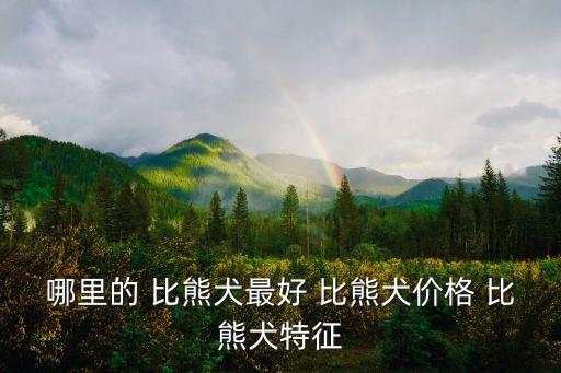 北京比熊價格,繁育比熊狗比較麻煩所以選擇純種比熊