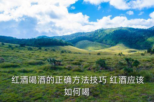 怎么喝紅酒,正統紅酒知多少?問與答（13）