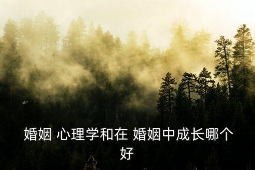 婚姻心理學,幸?；橐鲂睦韺W是揭示真相婚戀關系的圣典
