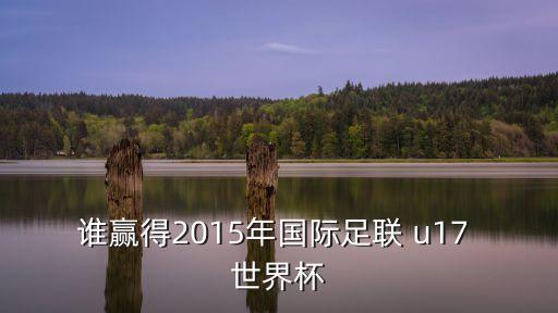 誰贏得2015年國(guó)際足聯(lián) u17 世界杯