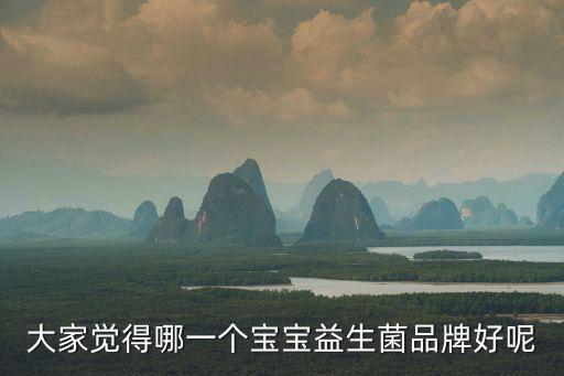 大家覺(jué)得哪一個(gè)寶寶益生菌品牌好呢