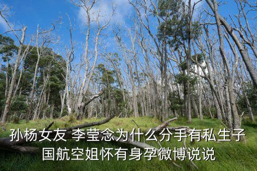 李瑩念,孫楊承認(rèn)前女友李瑩念已婚生子