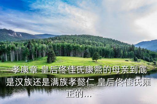  孝康章 皇后佟佳氏康熙的母親到底是漢族還是滿族孝懿仁 皇后佟佳氏雍正的...