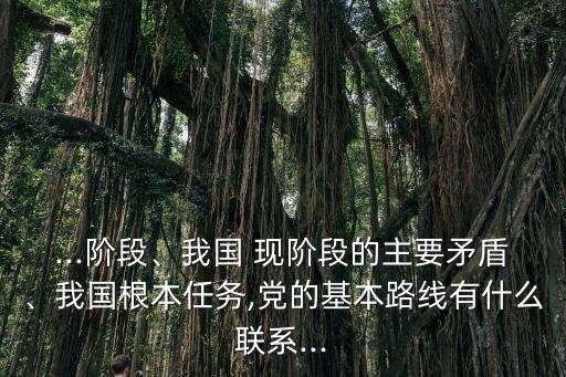 ...階段、我國 現階段的主要矛盾、我國根本任務,黨的基本路線有什么聯系...