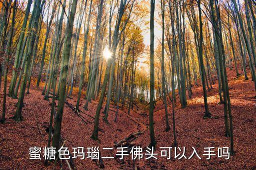  蜜糖色瑪瑙二手佛頭可以入手嗎