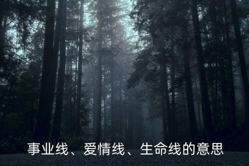 事業線短,事業線從智慧線上升三十五歲運氣好善用智慧大有作為