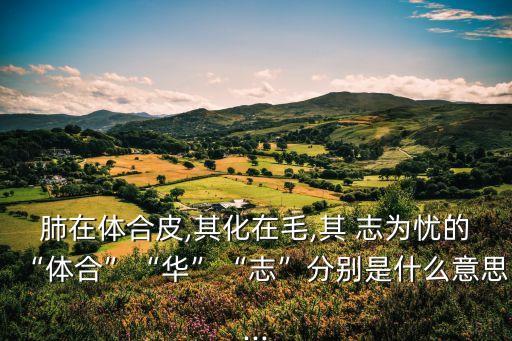 肺在志為,呼吸功能延伸出現肺主氣概念