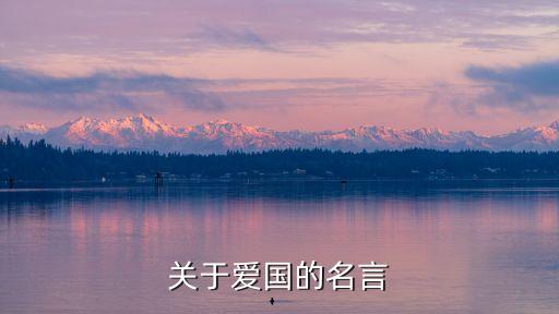愛國的格言，關(guān)于愛國的名言