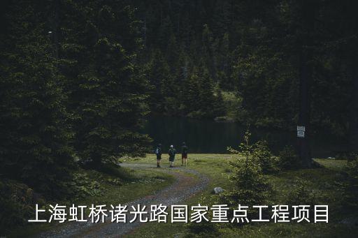2017年上海市實事項目，近幾年上海進行了哪幾個重大工程