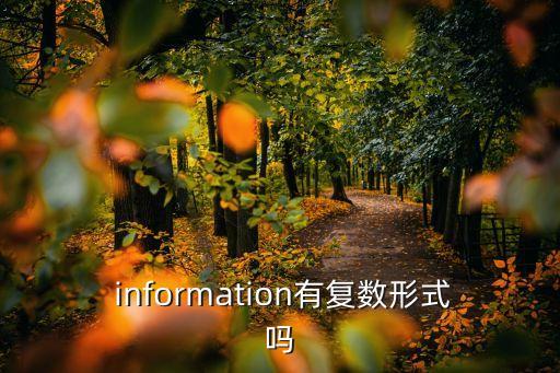 information可數(shù)嗎,名詞no-1沒有復(fù)數(shù)形式