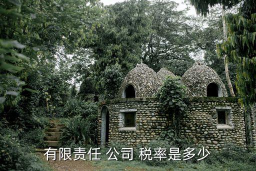 有限責任 公司 稅率是多少