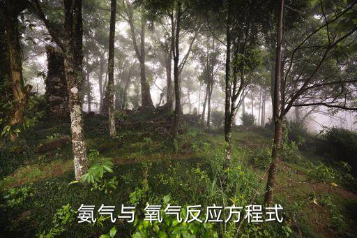 氨氣和氧氣,化學(xué)反應(yīng):加熱和氧氣反應(yīng)111