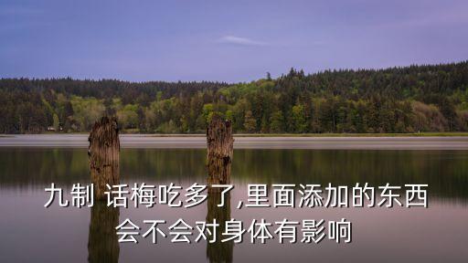 九制話梅,用容器裝好的話梅放入酒精密封儲(chǔ)存三個(gè)月
