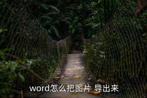  word怎么把圖片 導出來