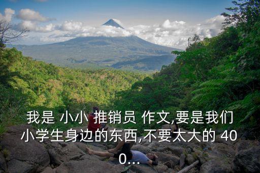 我是小小推銷(xiāo)員作文400字,和我一起賣(mài)冰箱吧!