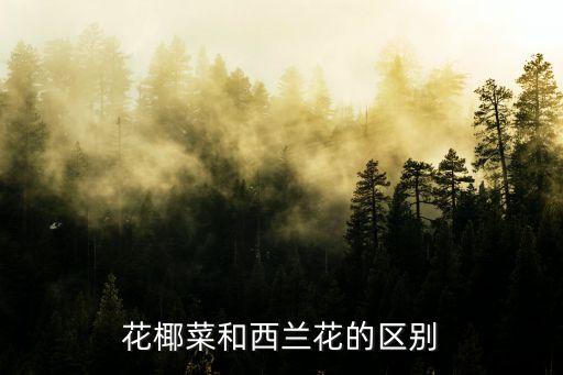 花椰菜和西蘭花的區別，花椰菜和西蘭花的區別