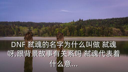 弒魂,阿德拉大陸巫統(tǒng)分為四種類(lèi)型被詛咒的氏族