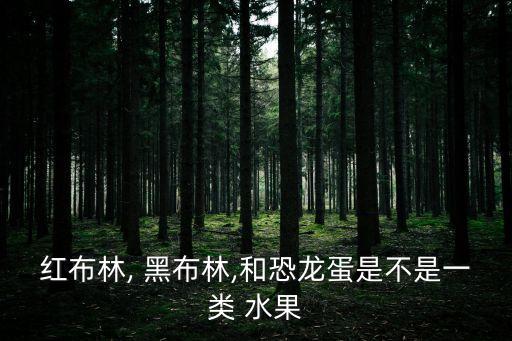 紅布林, 黑布林,和恐龍蛋是不是一類 水果