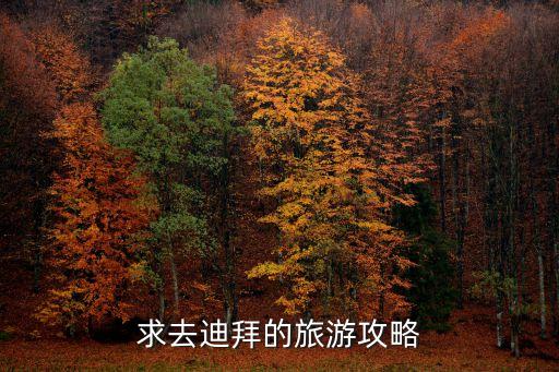 迪拜旅游攻略，求去迪拜的旅游攻略