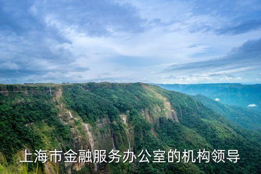 上海市金融服務(wù)辦公室官網(wǎng)，上海市金融服務(wù)辦公室主任 什么級(jí)別