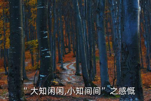 大知,大知閑，一知半解"出自莊子萬物之學