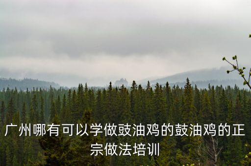 豉油雞的做法，廣州哪有可以學做豉油雞的鼓油雞的正宗做法培訓