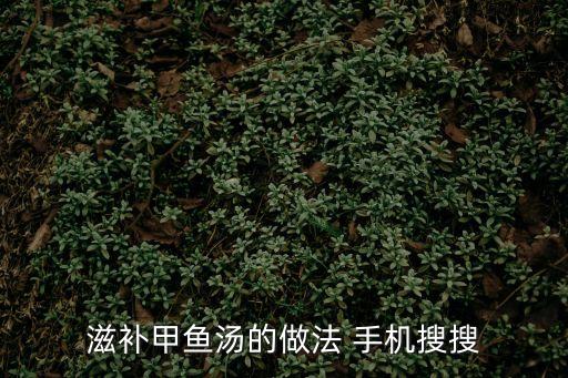 滋補甲魚湯的做法 手機搜搜