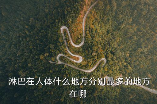 淋巴是什么,淋巴結是哺乳動物重要的免疫器官