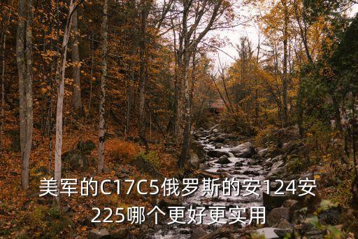 美軍的C17C5俄羅斯的安124安225哪個更好更實用