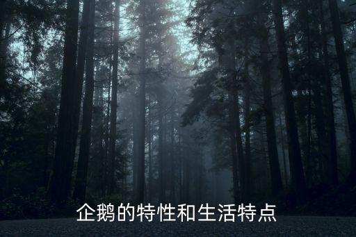 企鵝的特點，企鵝的身體特征是什么