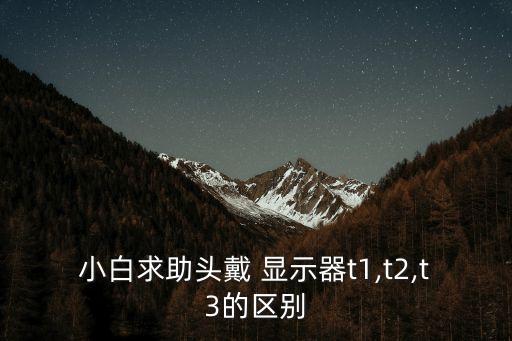 小白求助頭戴 顯示器t1,t2,t3的區別
