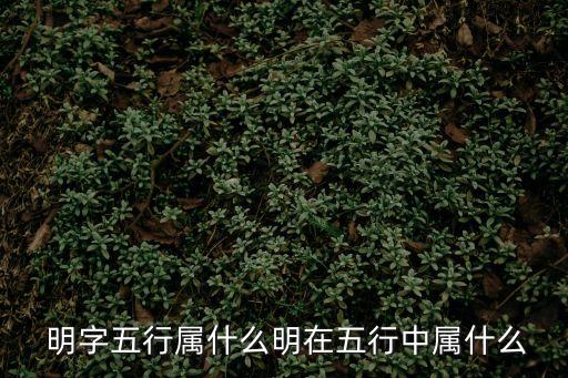明字拼音,亮字不對!明天、理解、清晰、明年、黎明