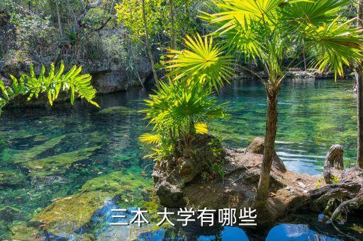 上海三本大學,上海建橋學院20年前不競爭進入大學
