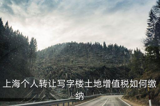 上海市土地增值稅如何繳納，怎樣進行土地增值稅的申報與繳納