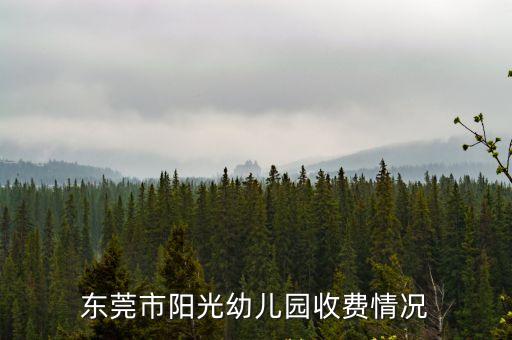 東莞大陽光幼兒園了，東莞南城哪間幼兒園比較好